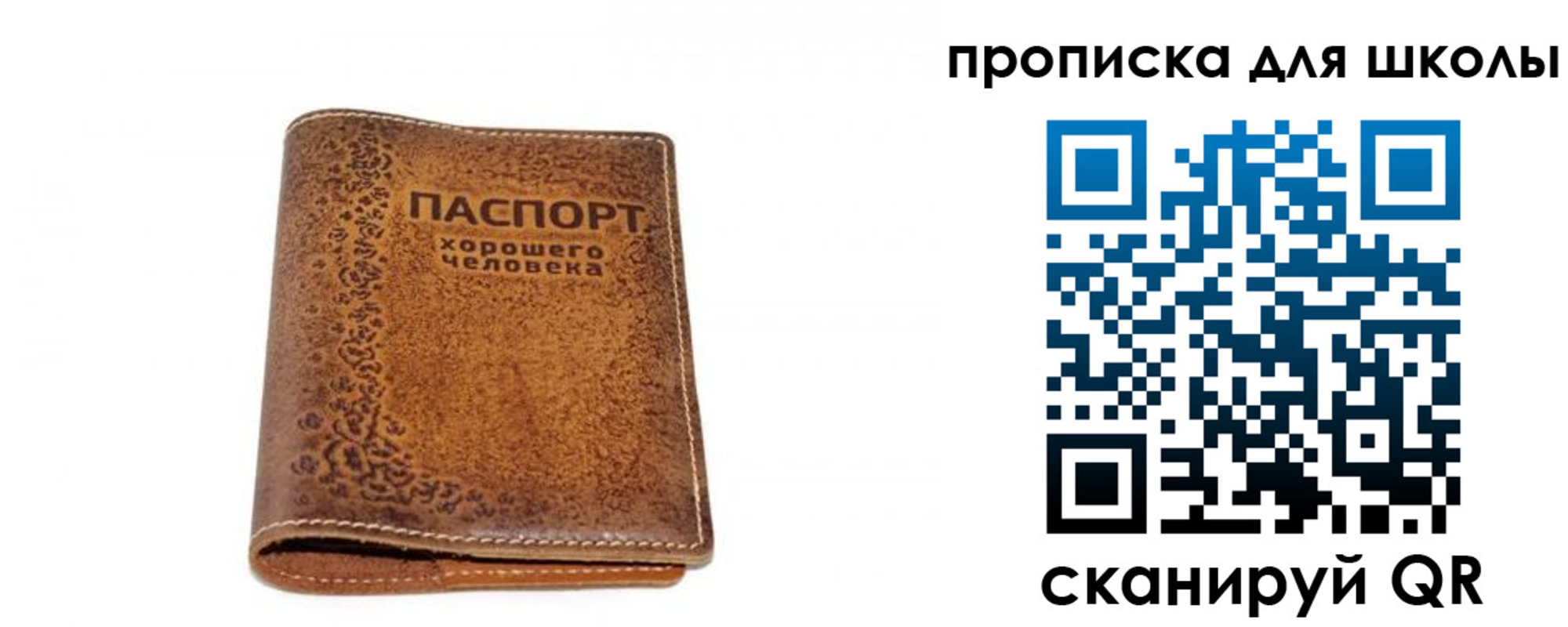 прописка для школы в Домодедово